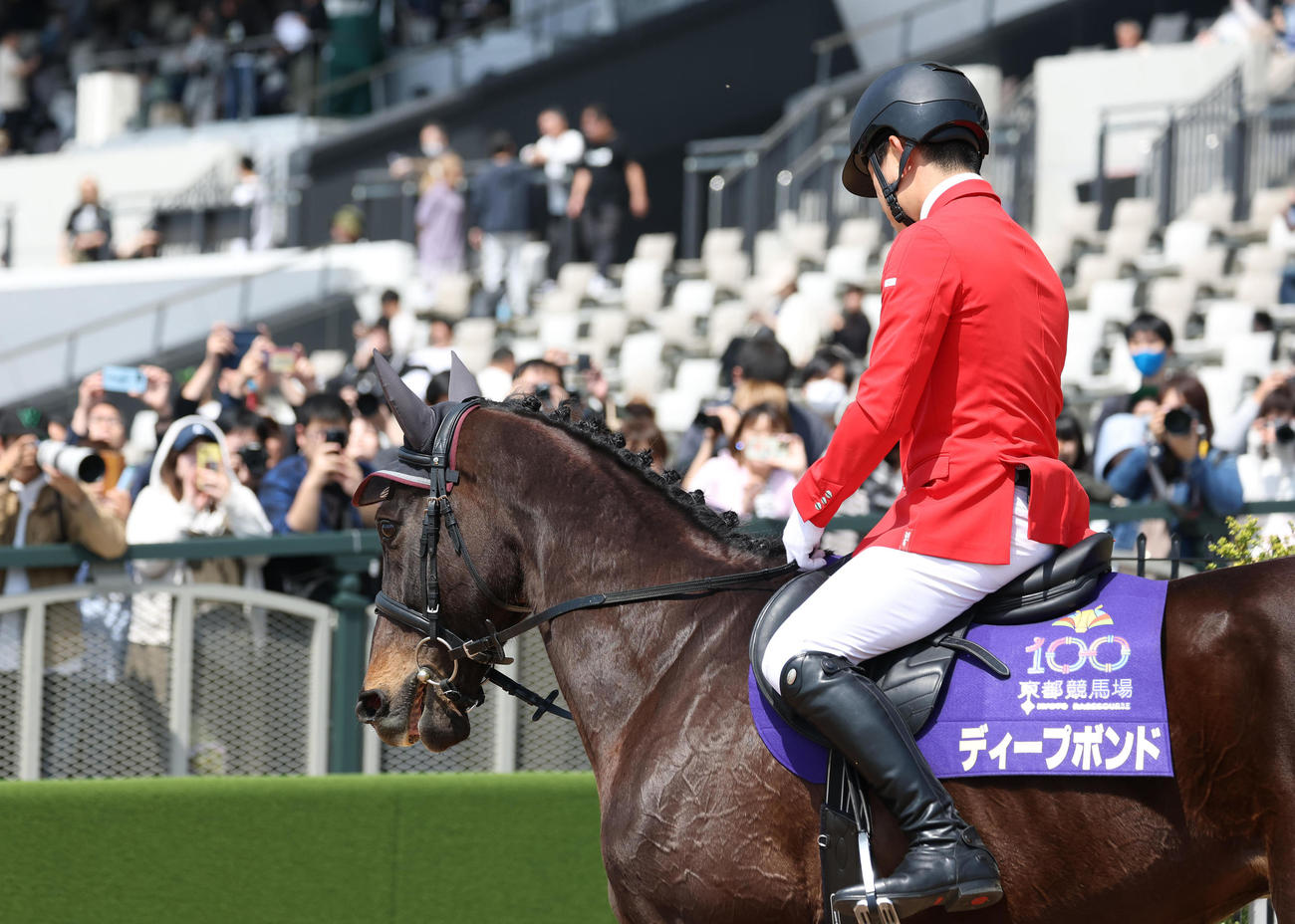 誘導馬としてデビューしたディープボンド（撮影・白石智彦）