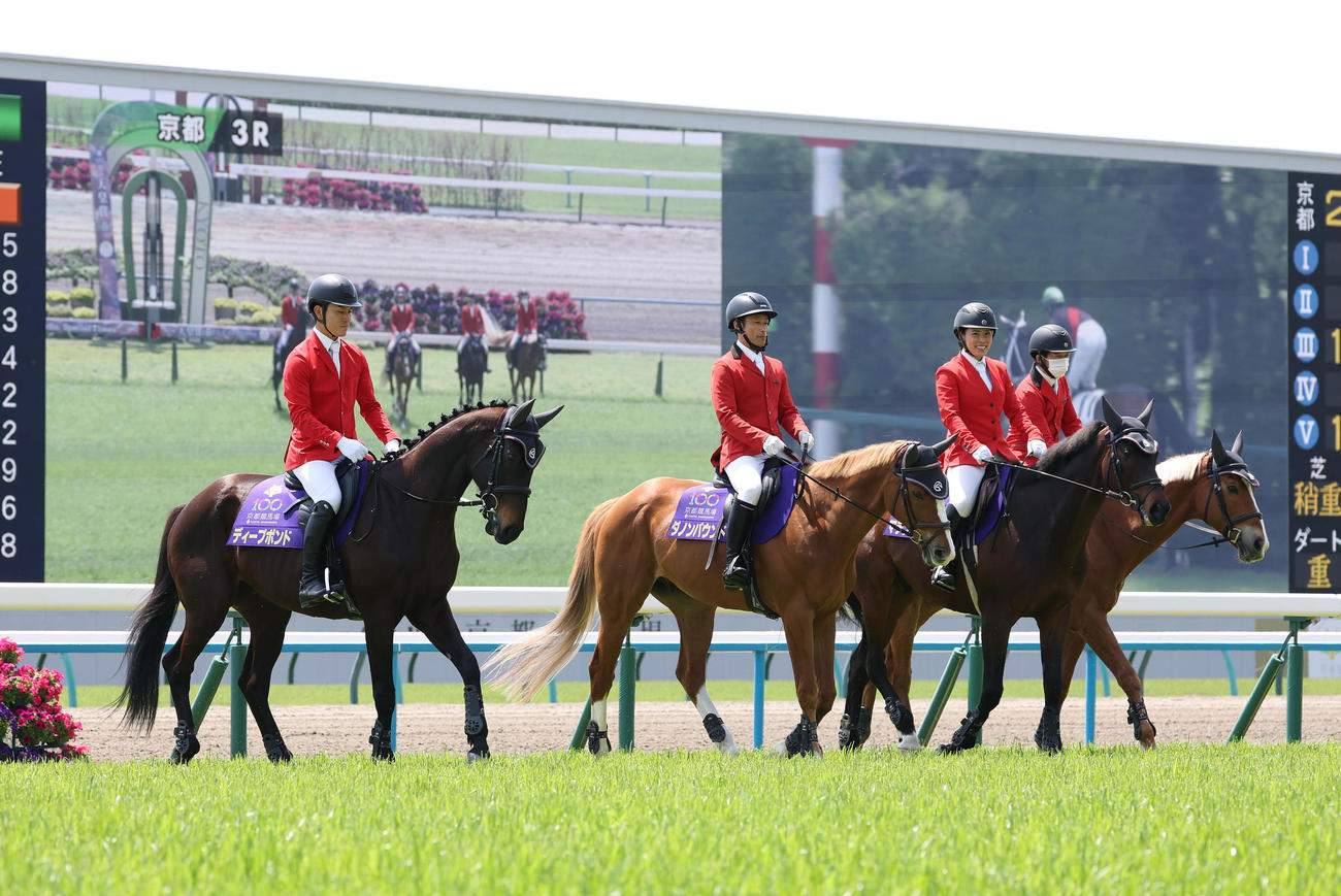 誘導馬としてデビューして芝コースを歩くディープボンド（左）（撮影・白石智彦）