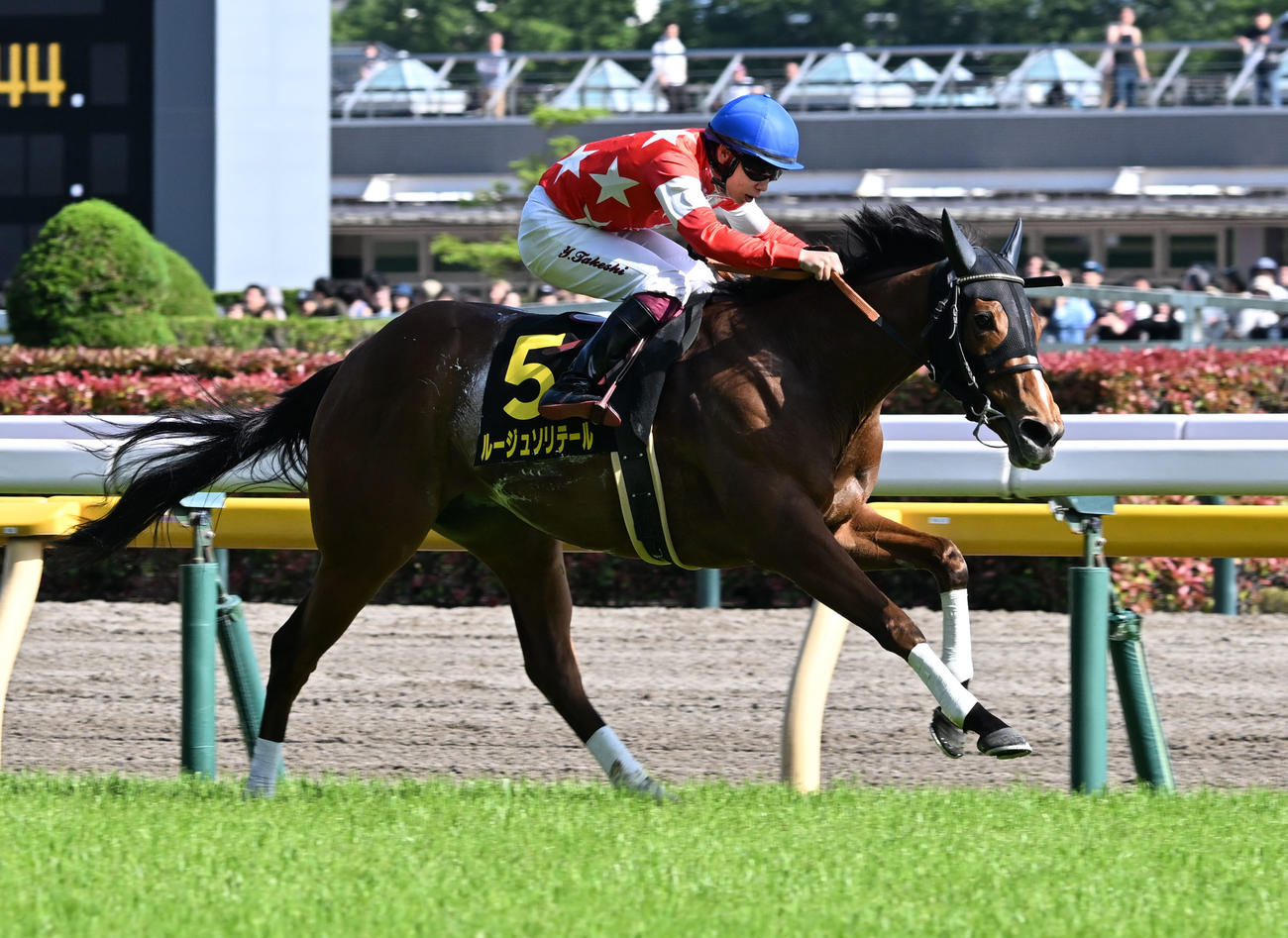 東京10R、スイートピーSを制したルージュソリテールと横山武騎手（撮影・千葉一成）