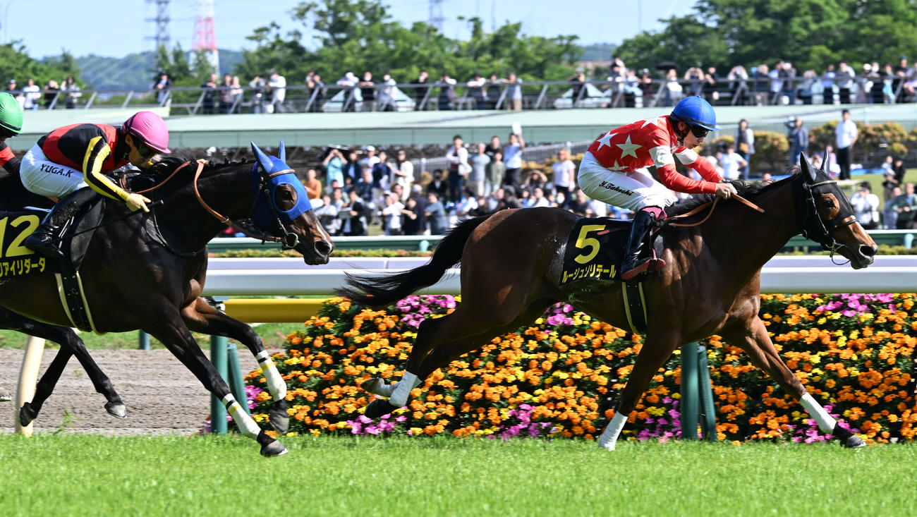スイートピーSを制したルージュソリテールと横山武騎手。左は2着のマリアイリダータ（撮影・千葉一成）