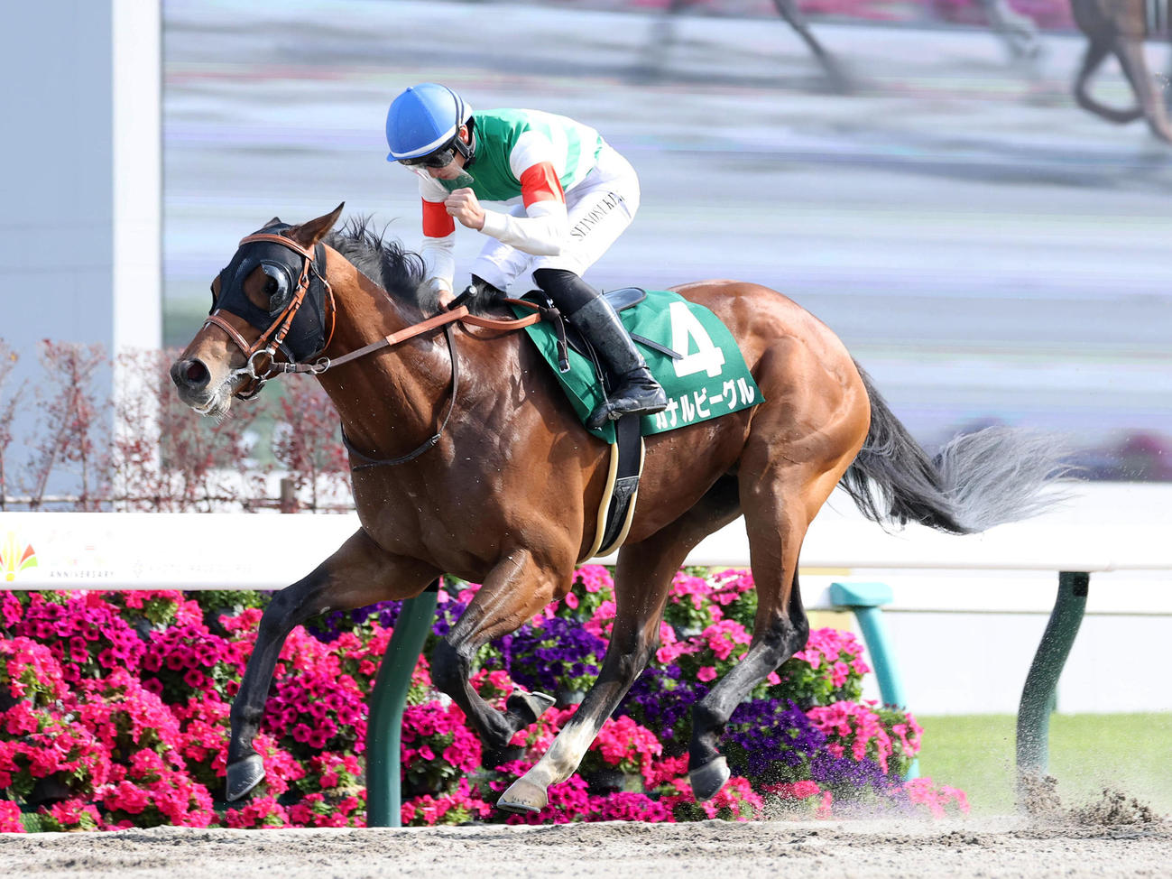 ユニコーンSを制したカナルビーグルと吉村騎手（撮影・白石智彦）