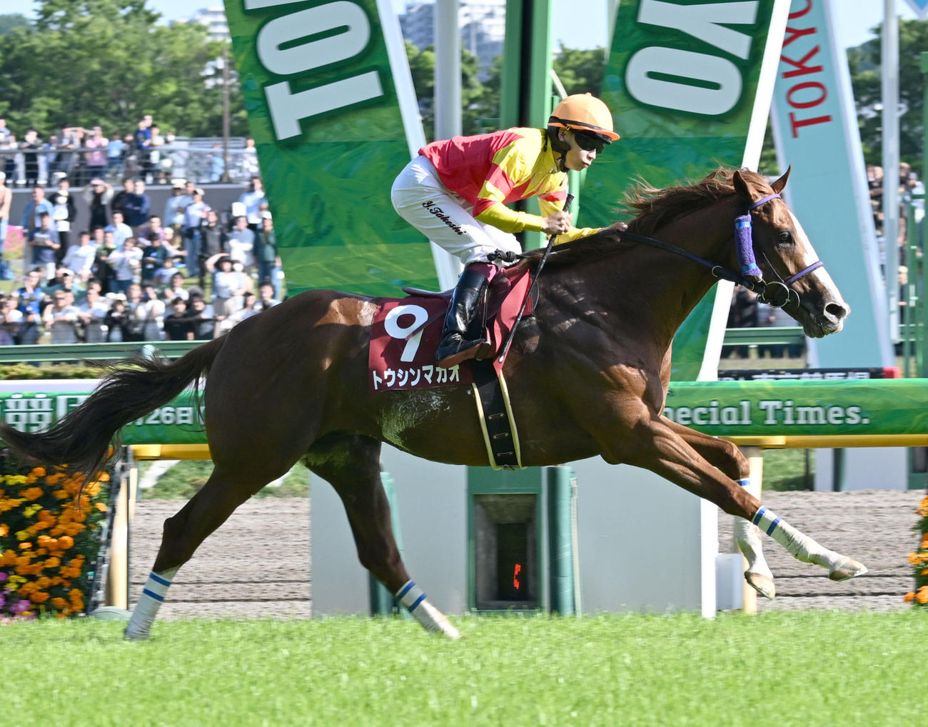 京王杯スプリングCを制したトウシンマカオと横山武騎手（撮影・千葉一成）