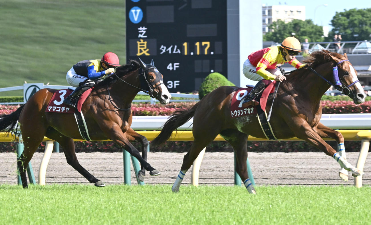 京王杯SC2着に敗れたママコチャ（左）。右は勝ったトウシンマカオ（撮影・千葉一成）
