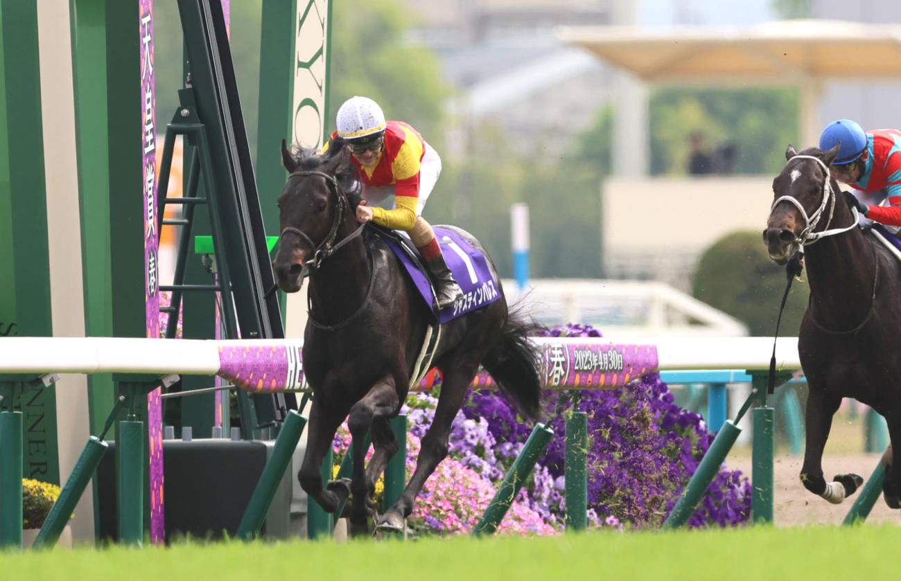 23年天皇賞・春を制したジャスティンパレス