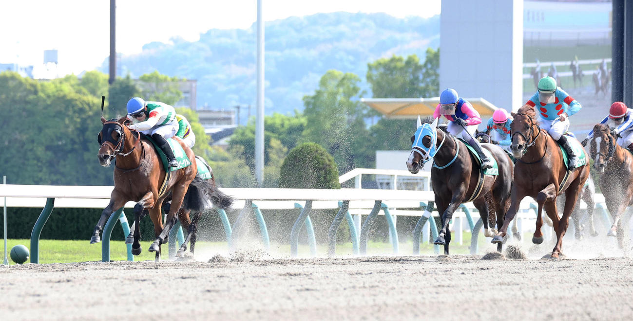 直線抜け出してユニコーンSを制したカナルビーグル（左）（撮影・白石智彦）