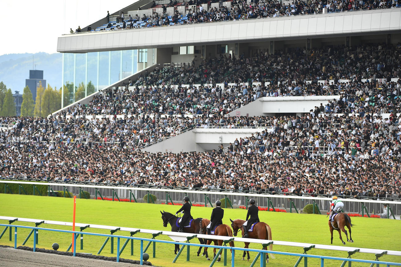 京都競馬場