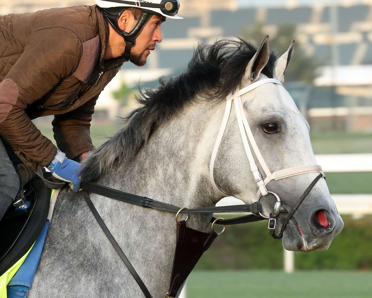 ファイナルギャンビット（C）Churchill Downs／Coady Media