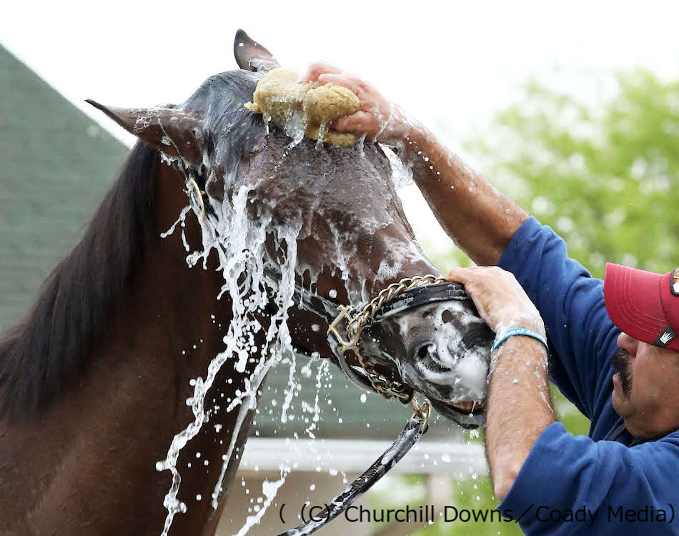 チャーチルダウンズ競馬場で洗われるバーナムスクエア