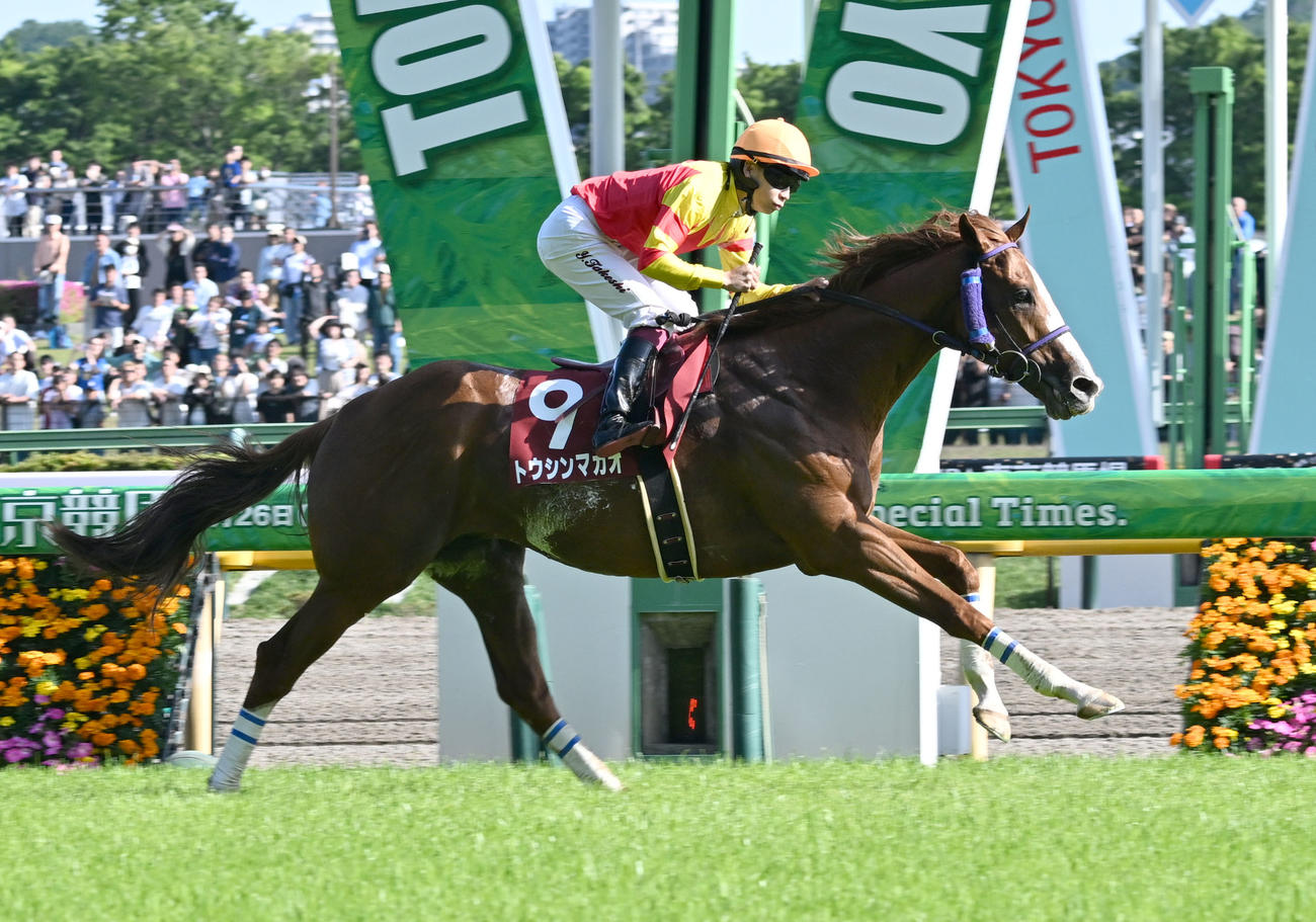 東京11R、京王杯スプリングCを制したトウシンマカオと横山武騎手（撮影・千葉一成）