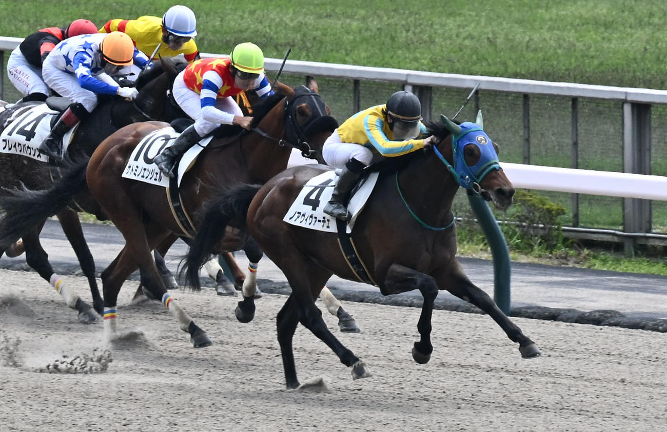 東京3R、3歳未勝利戦を制したノアヴィヴァーチェと菅原隆騎手（右）（撮影・千葉一成）
