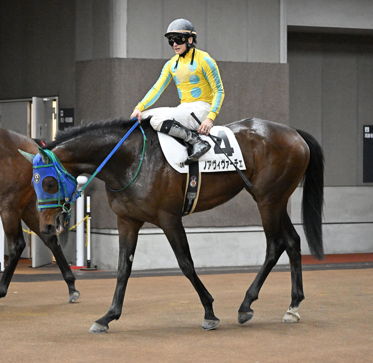 東京3R、3歳未勝利戦を制したノアヴィヴァーチェと菅原隆騎手（撮影・千葉一成）