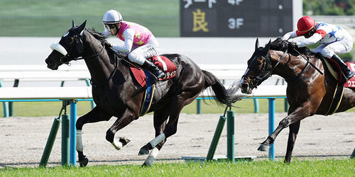 京都新聞杯を制した藤岡佑介騎手騎乗のジューンテイク。右は2着ウエストナウ＝2024年5月4日、京都競馬場