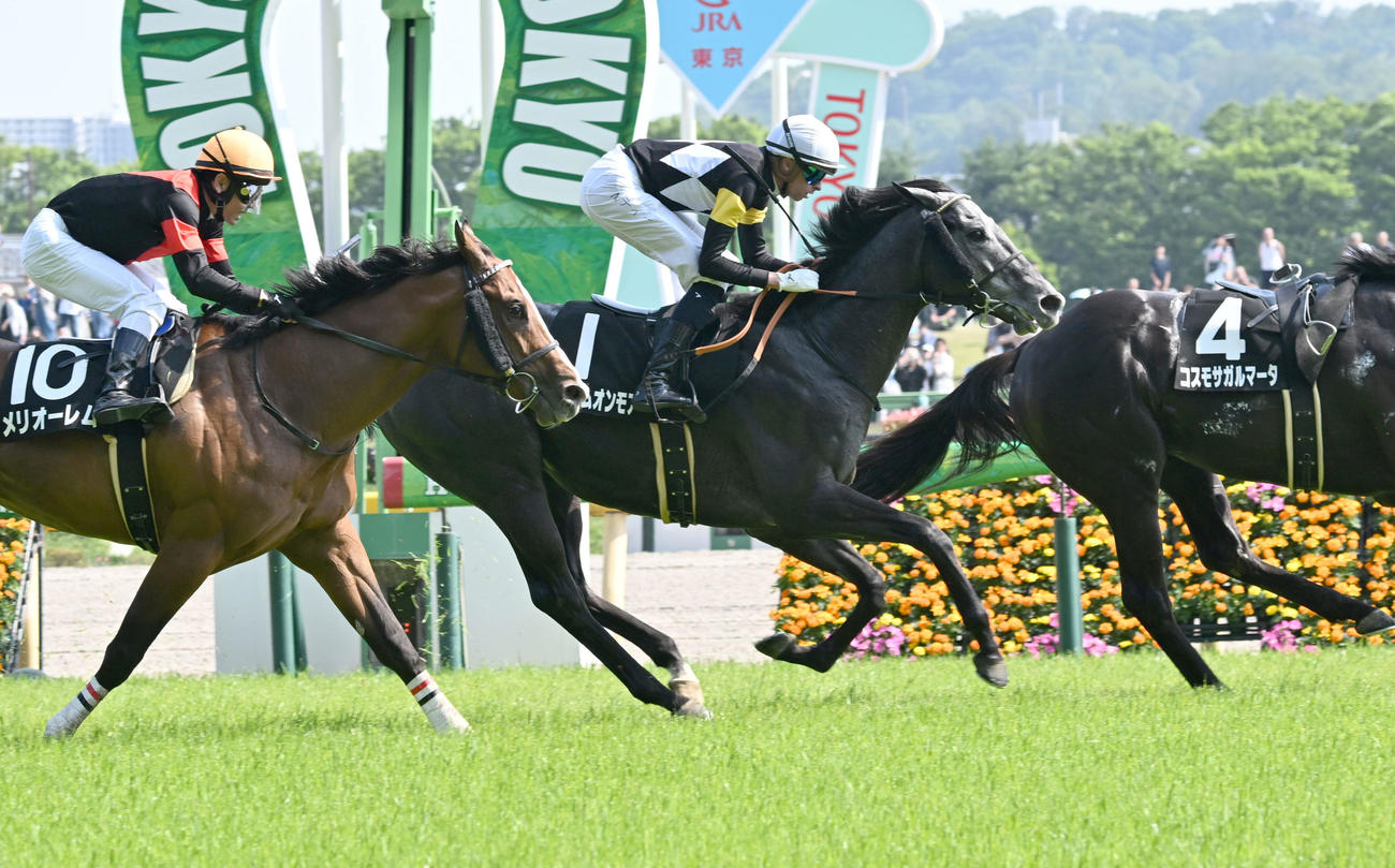 東京9R、府中Sを制したディー騎手。左は2着のメリオーレム（撮影・千葉一成）