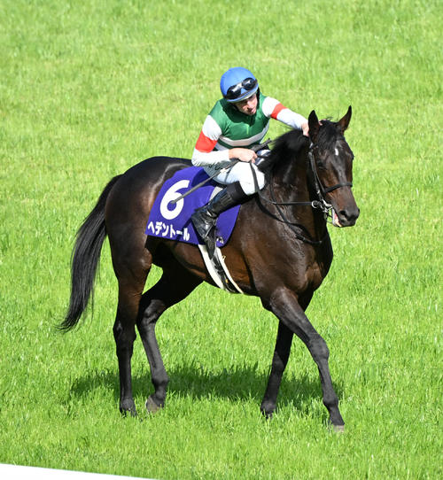 天皇賞・春】1番人気ヘデントールG1初制覇！レーン騎手「いい