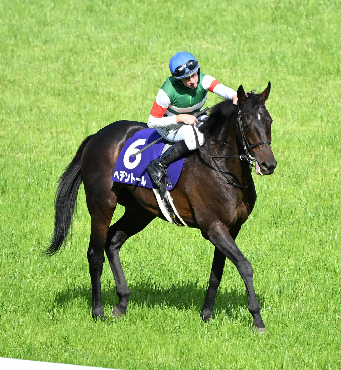 京都11R　天皇賞・春を制したヘデントールとD・レーン騎手（撮影・和賀正仁）