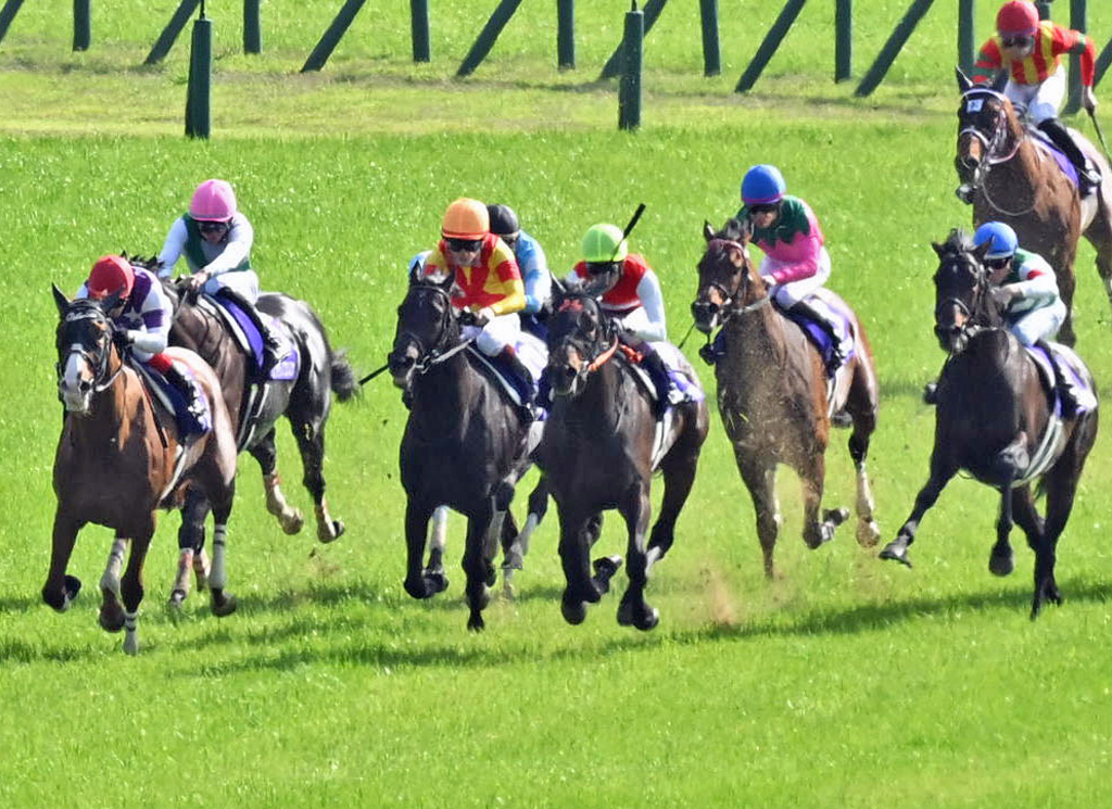 天皇賞・春6着に敗れたジャスティンパレス（左から3頭目）（撮影・和賀正仁）