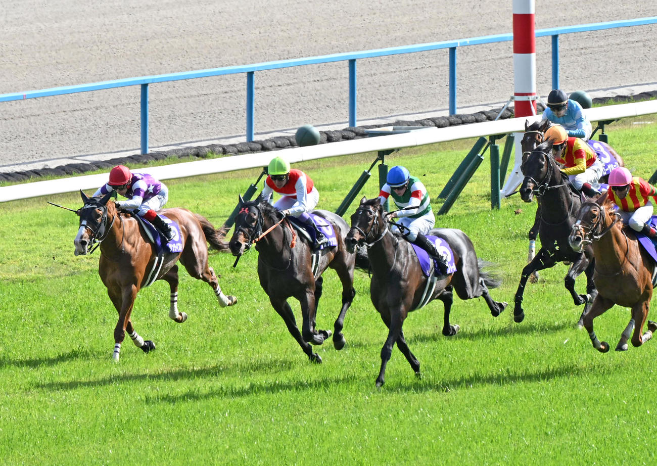 天皇賞・春6着に敗れたサンライズアース（左）（撮影・和賀正仁）