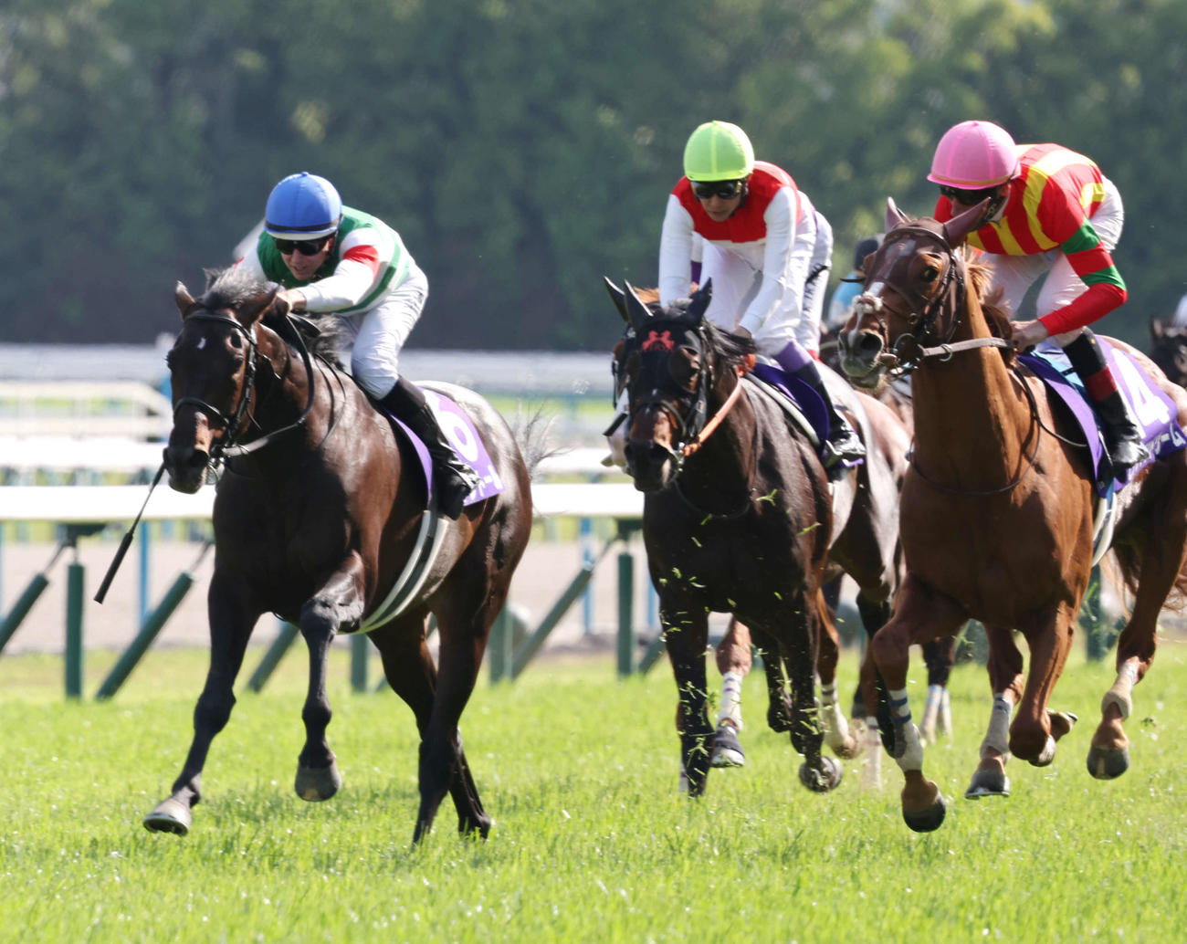 天皇賞・春3着に敗れたショウナンラプンタ（中央）。左は勝ったヘデントール（撮影・西尾就之）