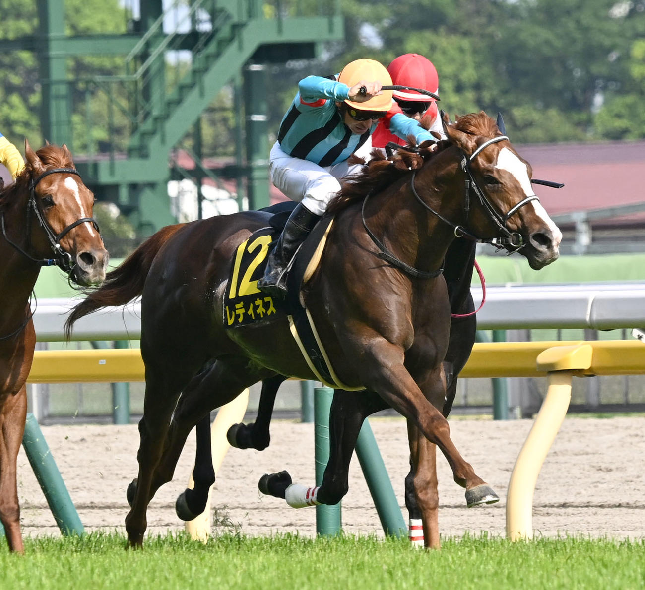 プリンシパルSを制したレディネスと横山典騎手（撮影・千葉一成）