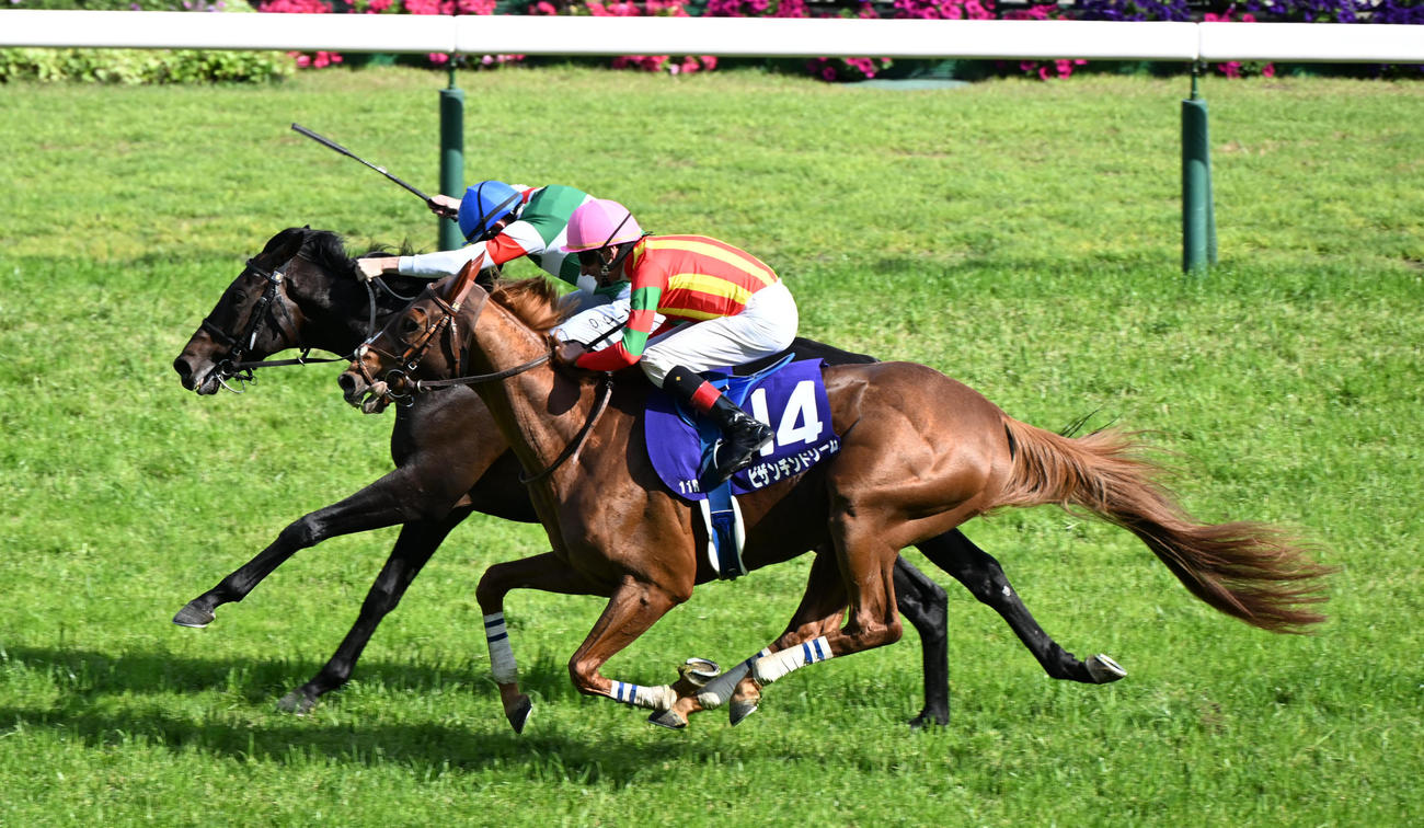 京都11R　直線で伸びて天皇賞・春を制するヘデントール、2着はビザンチンドリーム（撮影・和賀正仁）