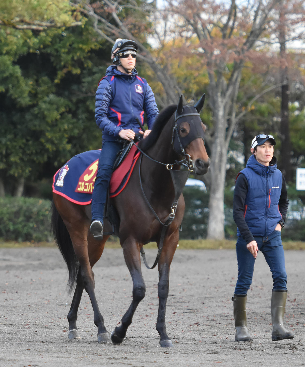 リバティアイランドの母コルコバードと木村師（2018年撮影）