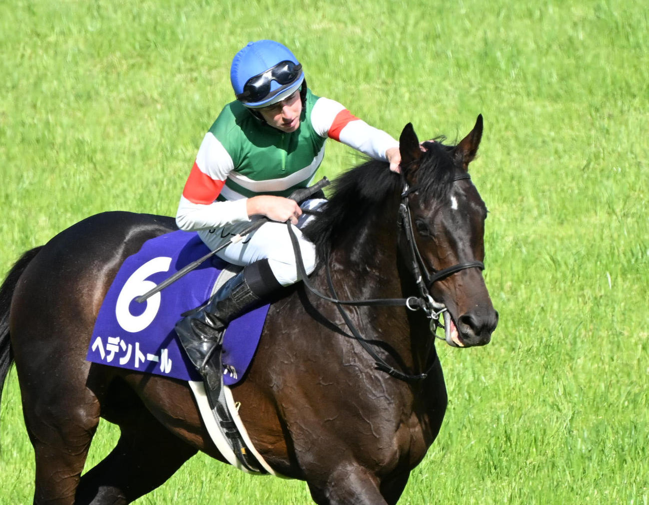 天皇賞・春を制したヘデントールをねぎらうD・レーン騎手（撮影・和賀正仁）