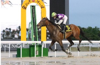 名古屋グランプリを制したサンライズジパング（名古屋競馬提供、2025年5月6日）