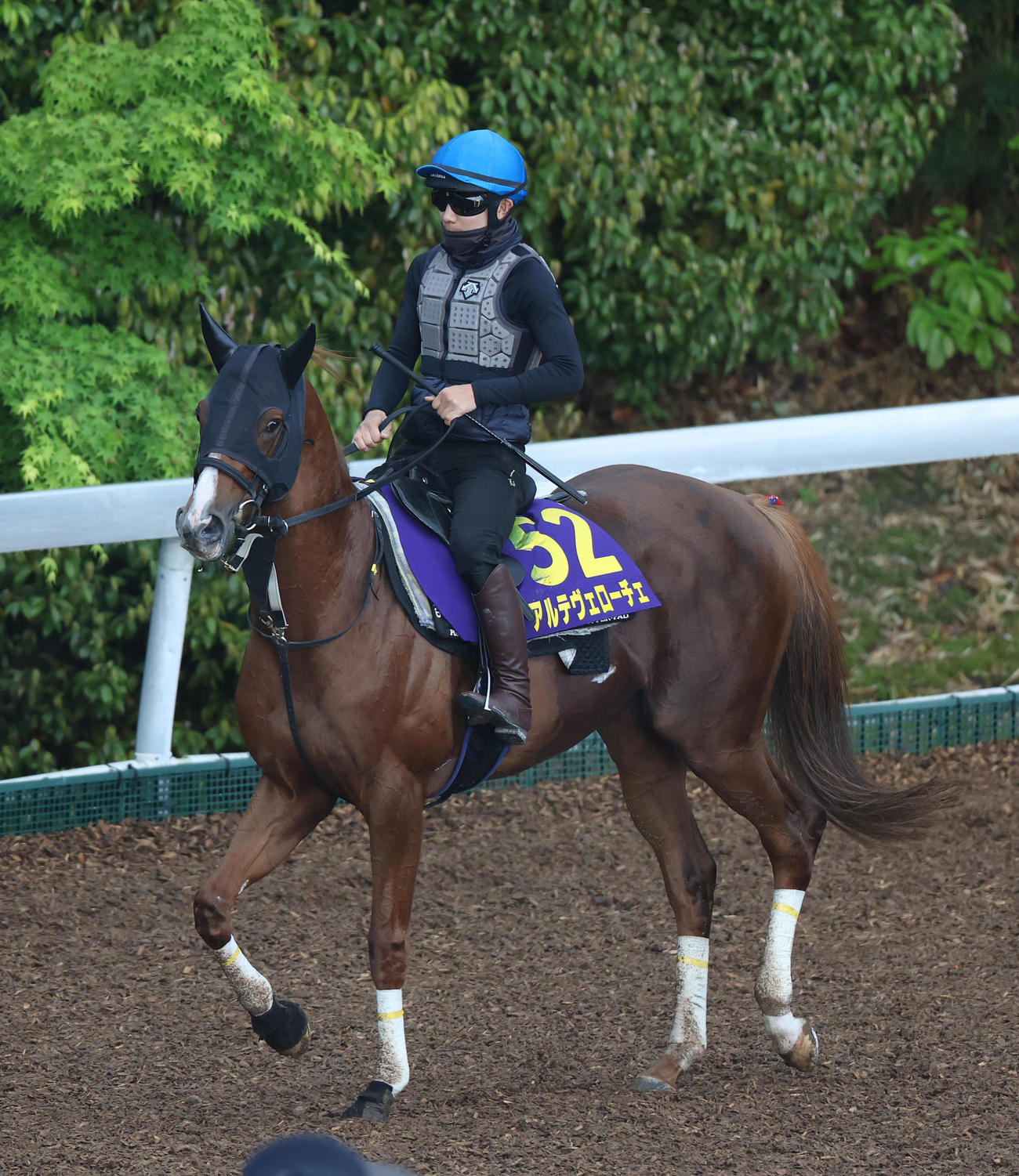 佐々木騎手を背に角馬場で運動するアルテヴェローチェ（撮影・白石智彦）