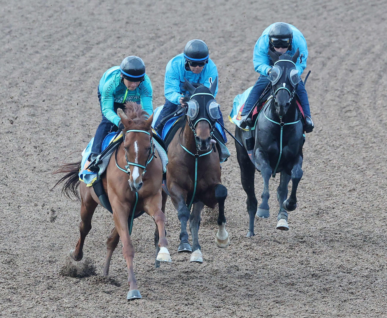 美浦ウッドで3頭併せで追い切るアスコリピチェーノ（右）（撮影・鈴木正人）
