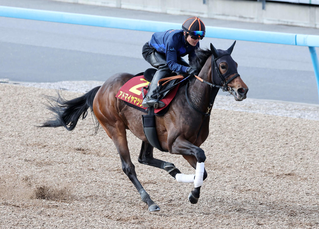 美浦ウッドで追い切るアドマイヤマツリ（撮影・鈴木正人）