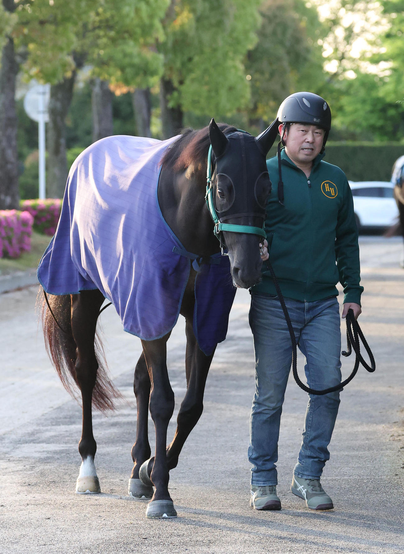 厩舎周りで運動するヤンキーバローズと上村助手（撮影・白石智彦）