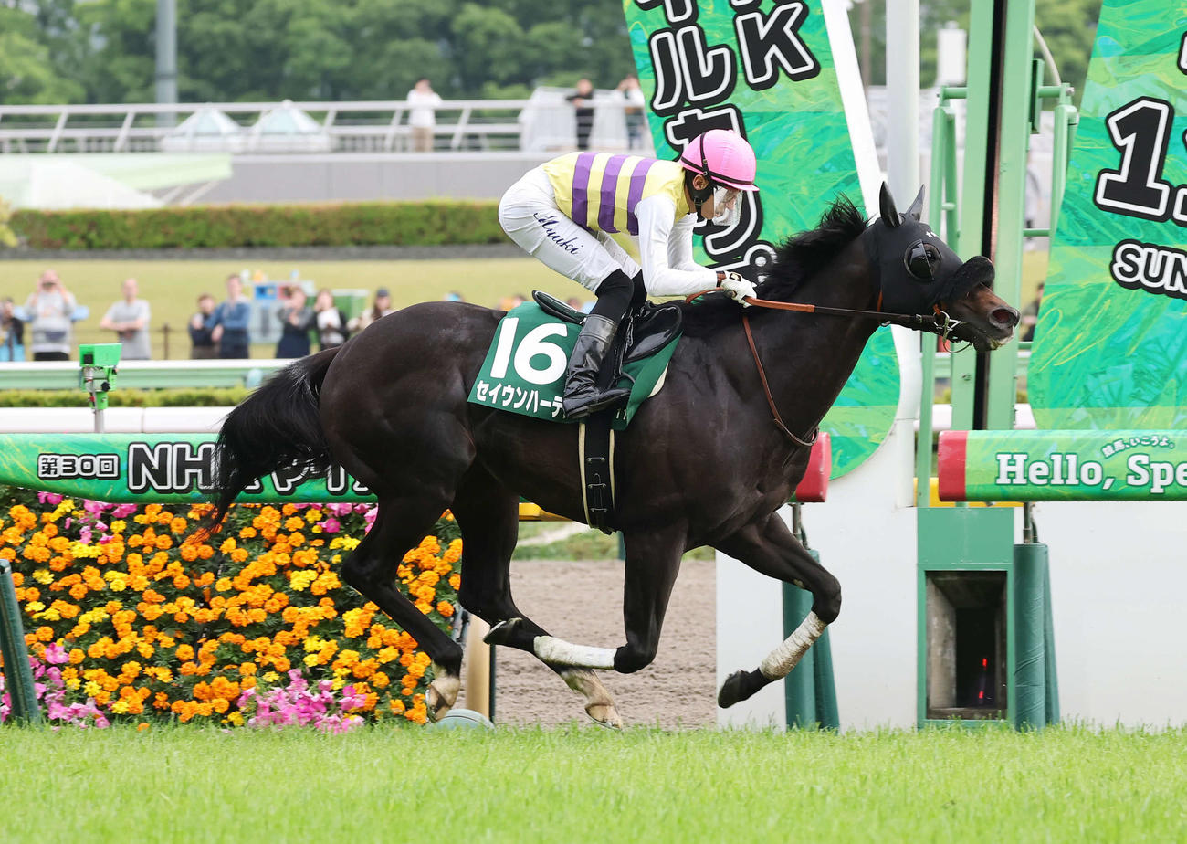エプソムCを制したセイウンハーデスと幸騎手（撮影・鈴木正人）