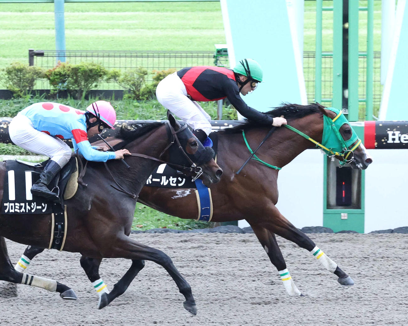 青竜Sを制したポールセンとルメール騎手（撮影・鈴木正人）