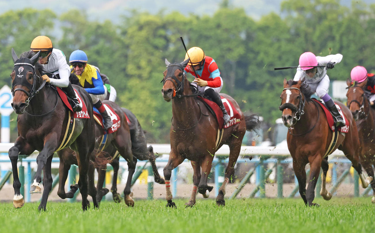 京都新聞杯4着に敗れたトッピボーン（右）。左は勝ったショウヘイ（撮影・白石智彦）
