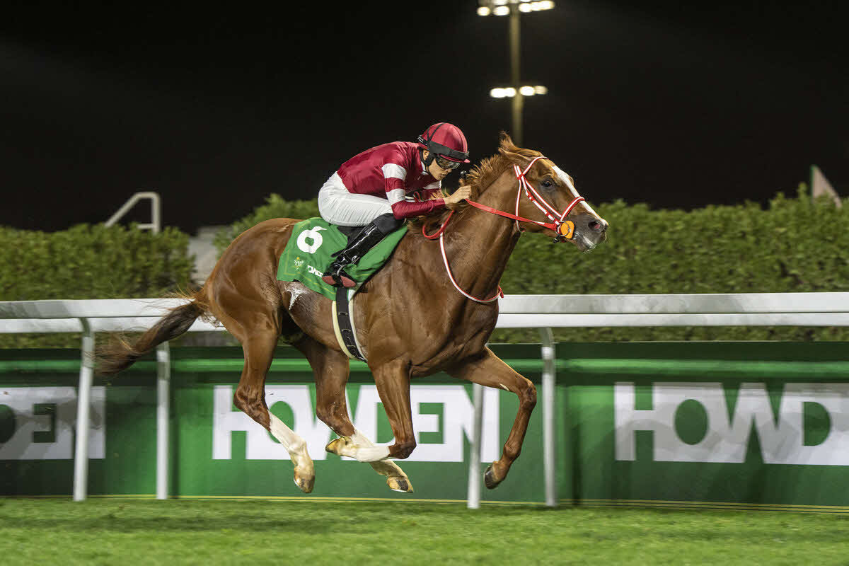 ネオムターフCを制したシンエンペラー（C）Jockey Club of Saudi Arabia／Ali AlZenaidi