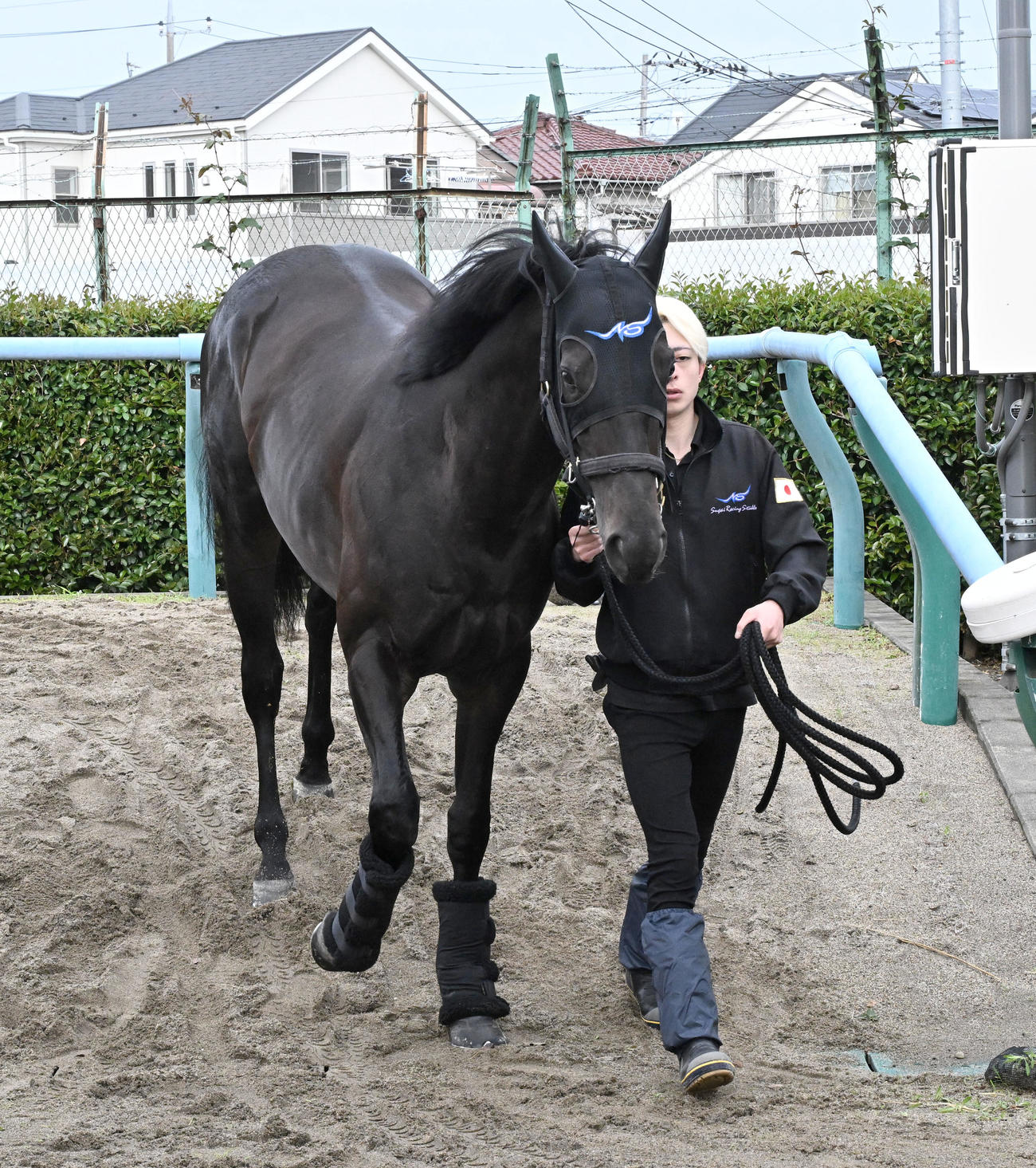 東京競馬場に到着したマジックサンズ（撮影・千葉一成）