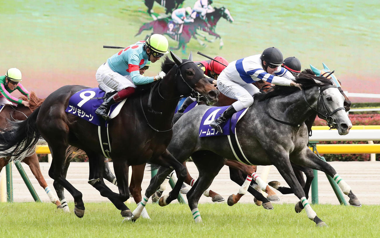 19年ヴィクトリアMで東京マイルのコースレコード1分30秒5をマークして優勝したノームコア