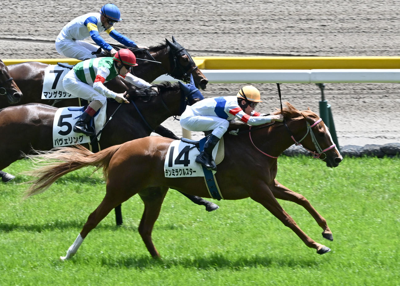 東京4R、3歳未勝利戦を制したテンミラクルスターと津村騎手（手前）（撮影・千葉一成）