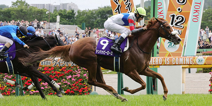 ヴィクトリアMを制したテンハッピーローズと津村騎手（撮影・野上伸悟）＝2024年5月12日、東京競馬場