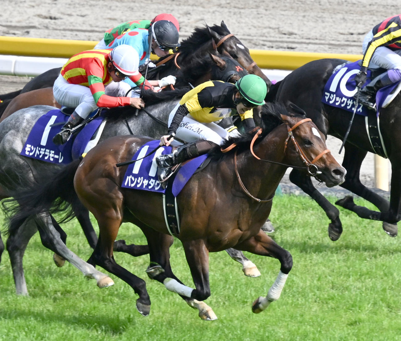 東京11R、NHKマイルCを制したパンジャタワーと松山騎手（手前）（撮影・千葉一成）