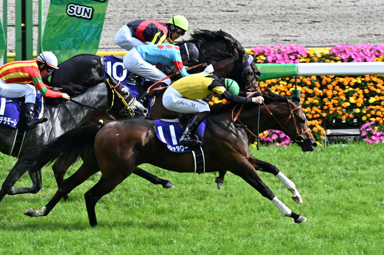 東京11R、NHKマイルCを制したパンジャタワーと松山騎手（手前）（撮影・千葉一成）