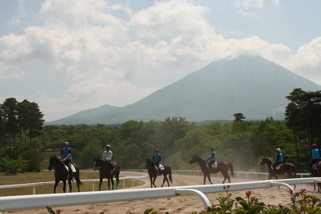 大山ヒルズで調整中の2歳馬たち。左から2頭目が武豊騎手とマイバレンタイン（撮影・太田尚樹）