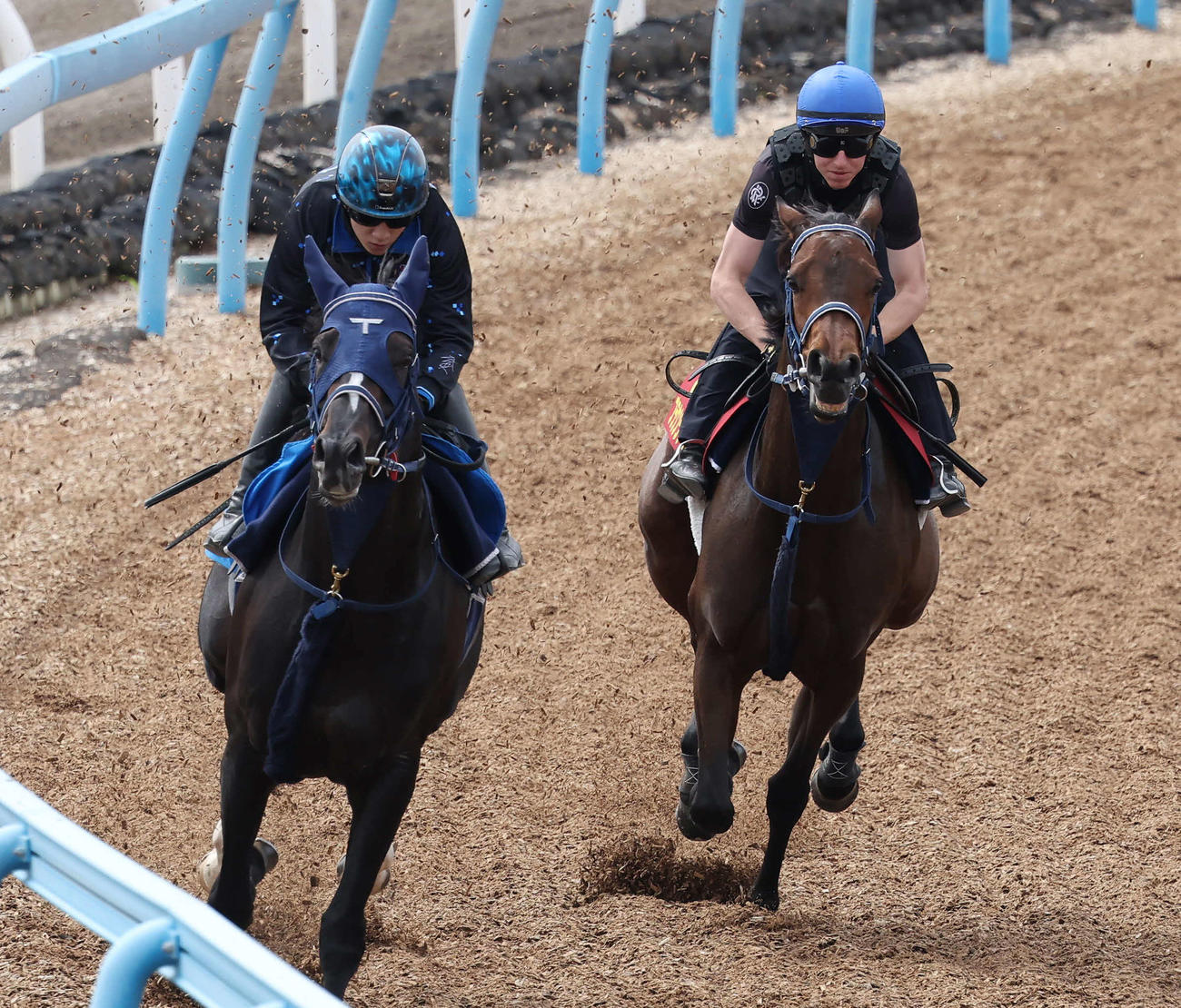 ブラウンラチェット（右）はレーン騎手を背に美浦ウッドでジオセントリックと併せて追い切られた（撮影・丹羽敏通）