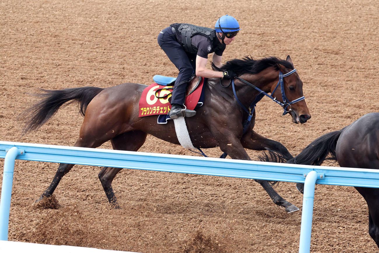ブラウンラチェットはレーン騎手を背に美浦ウッドで追い切られた（撮影・丹羽敏通）