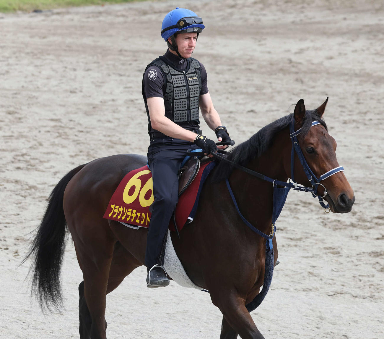 馬場へ向かうブラウンラチェットとレーン騎手（撮影・丹羽敏通）
