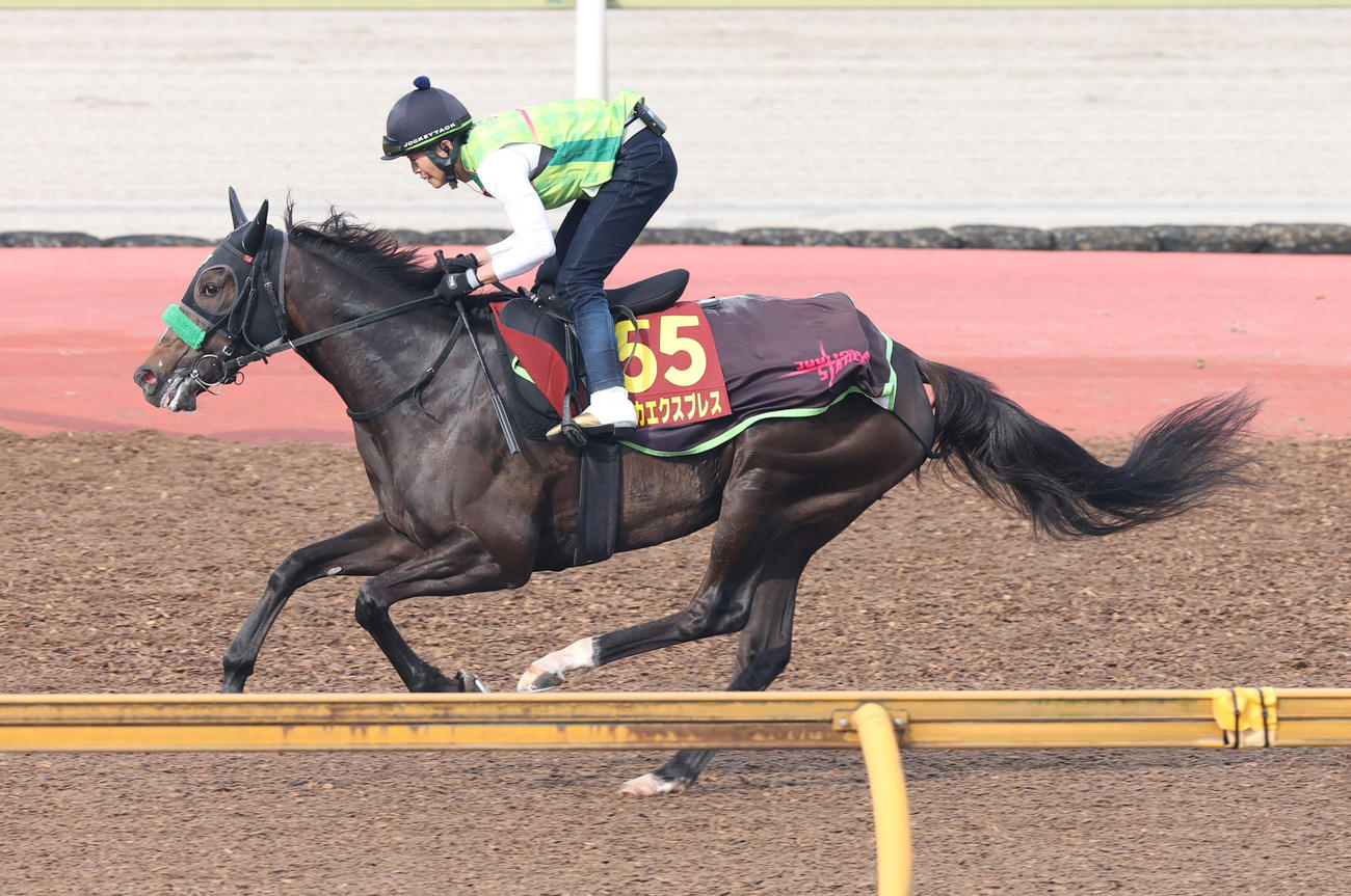 CWコースで追い切るエリカエクスプレス