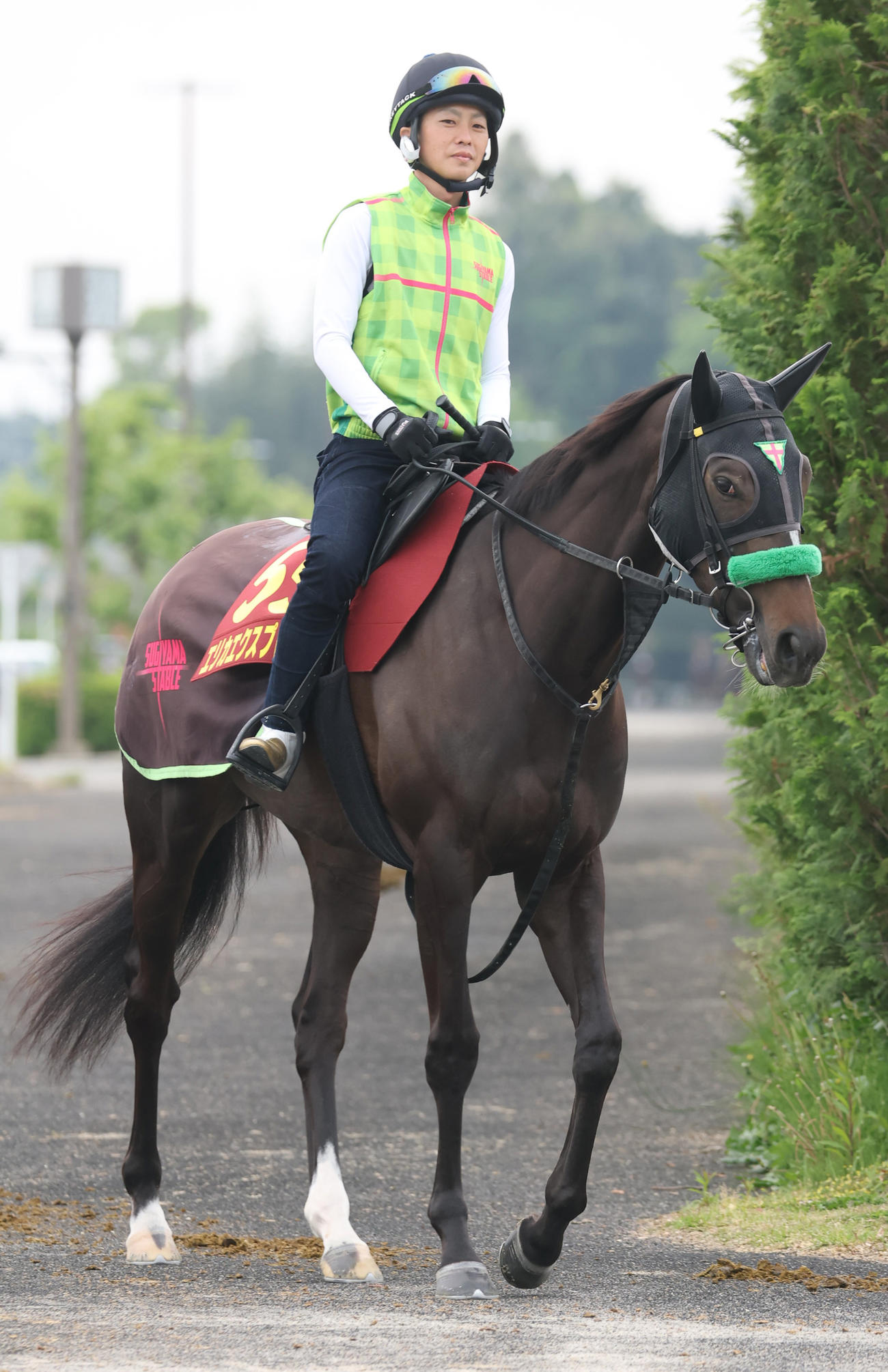 追い切りへ向かうエリカエクスプレス