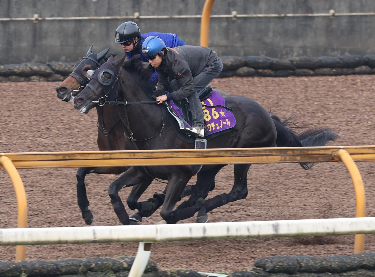 北村友一騎手を背にCWコースにて併せ馬で追い切るクロワデュノール