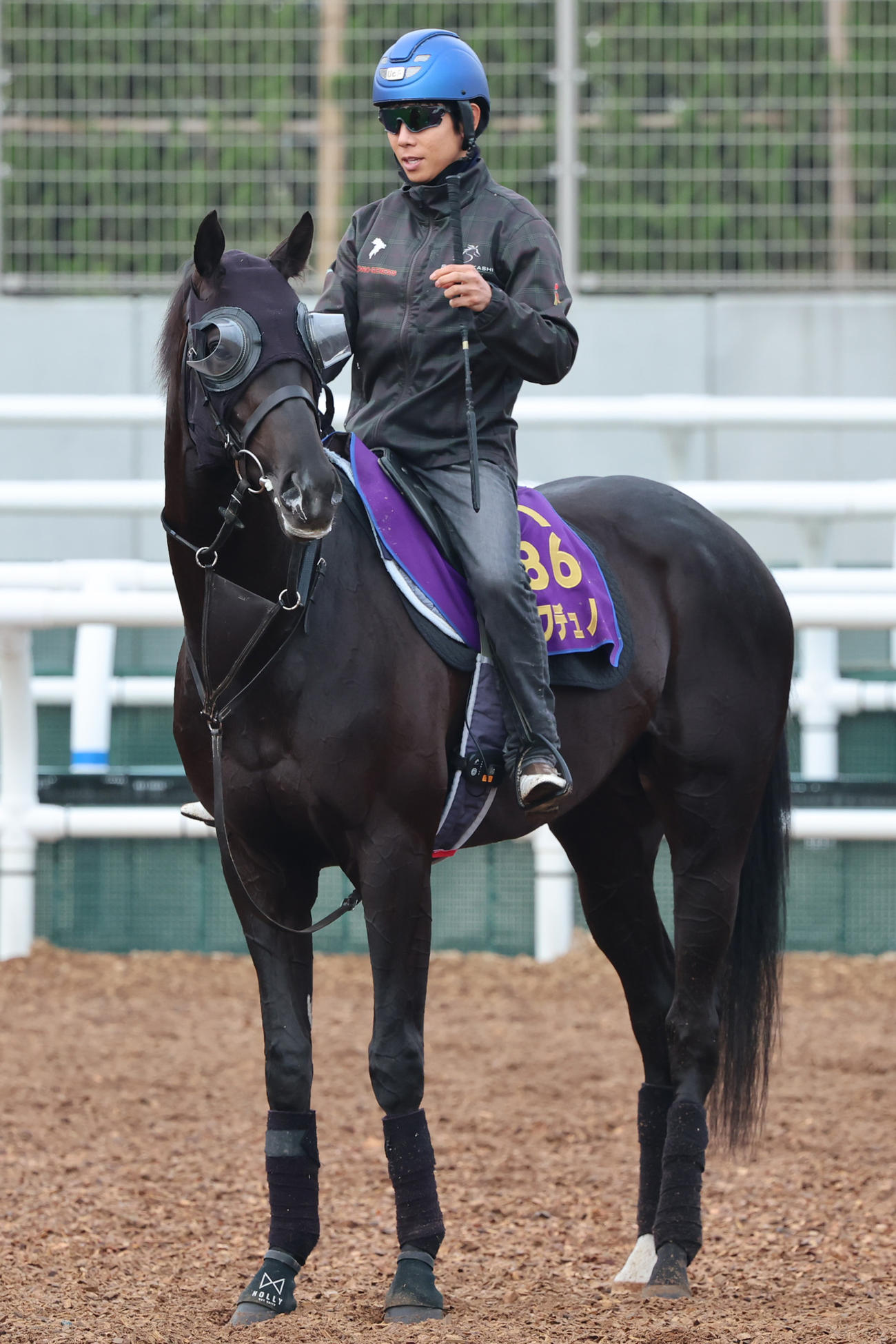 北村友一騎手とクロワデュノール