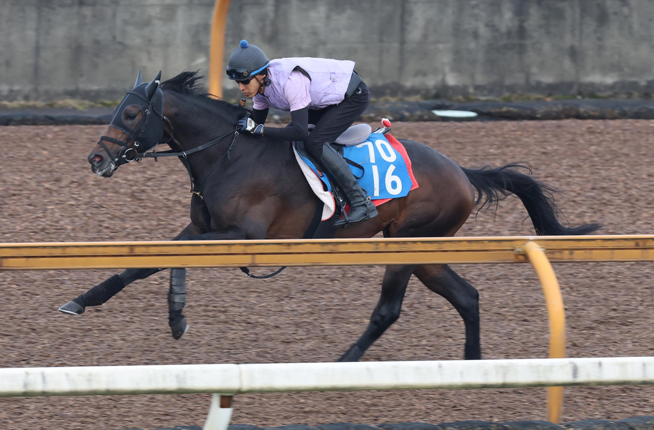 CWコースで追い切るサブマリーナ